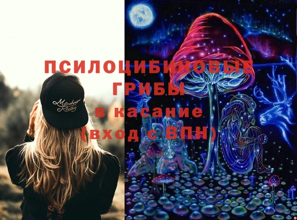 индика Верхнеуральск